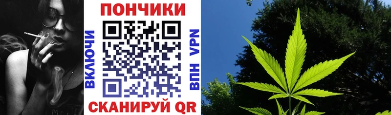 Бошки Шишки гибрид Ачхой-Мартан